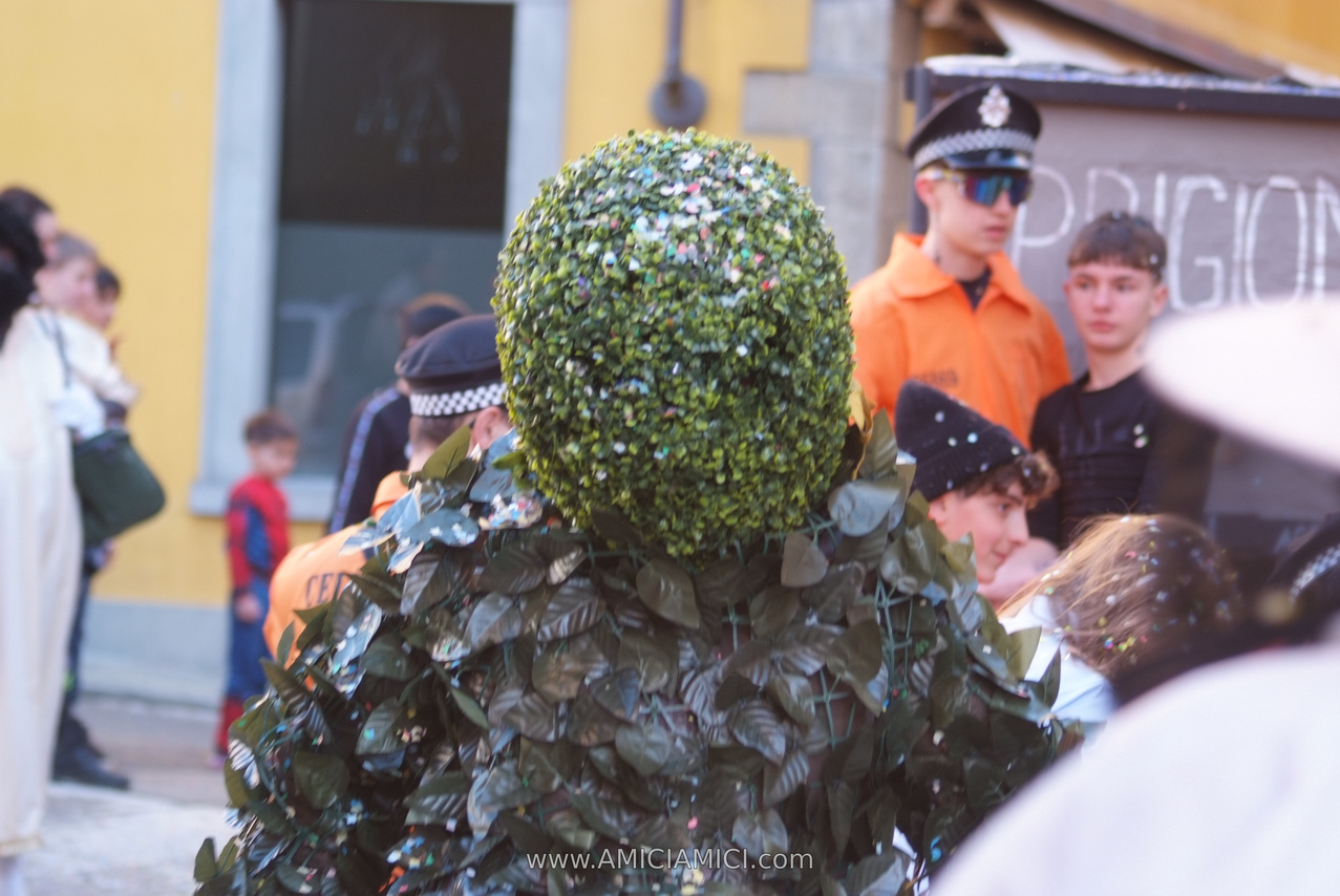Foto Carnevale in piazza 2026 Carnevale_Bedonia_2026_630