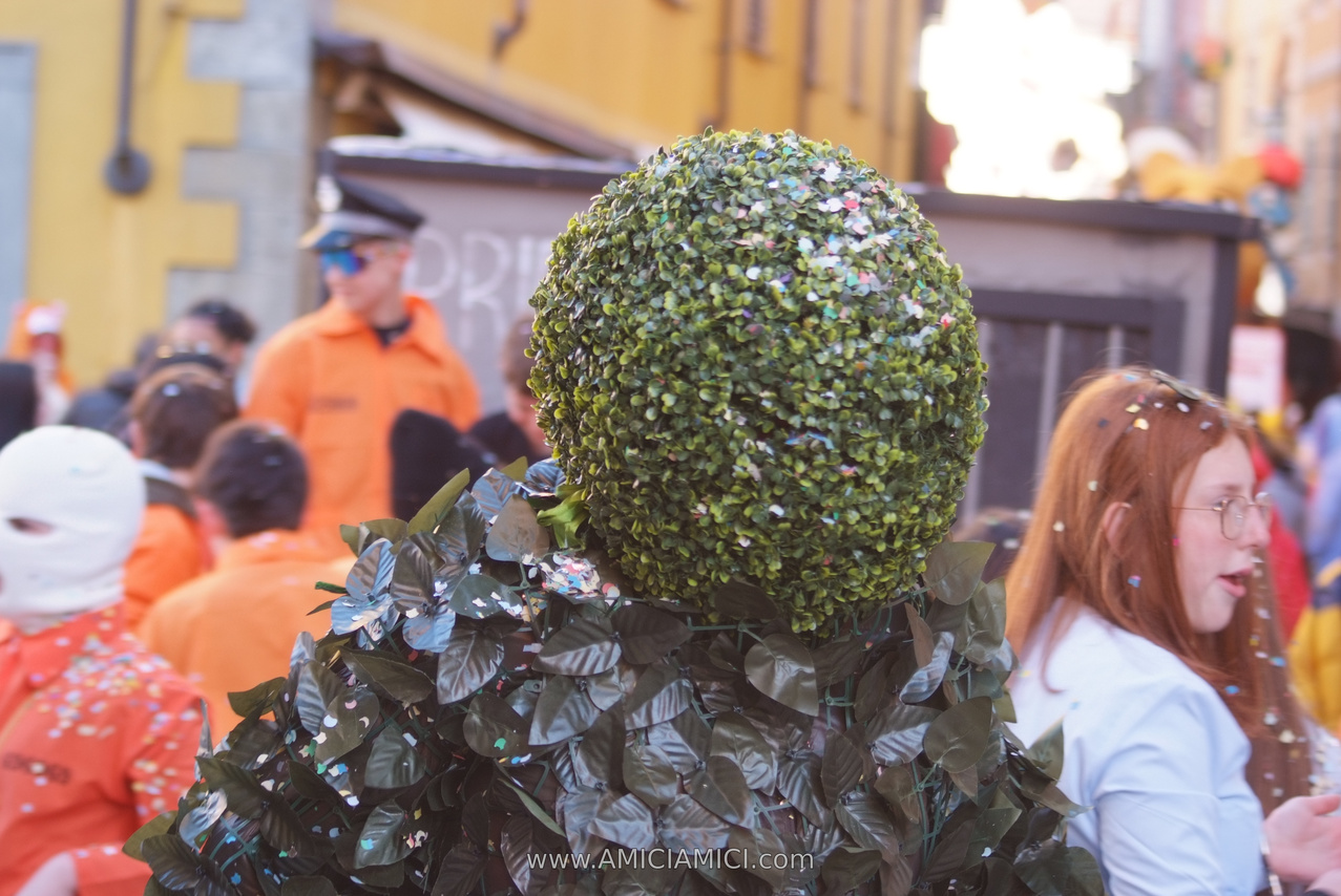 Foto Carnevale in piazza 2026 Carnevale_Bedonia_2026_631
