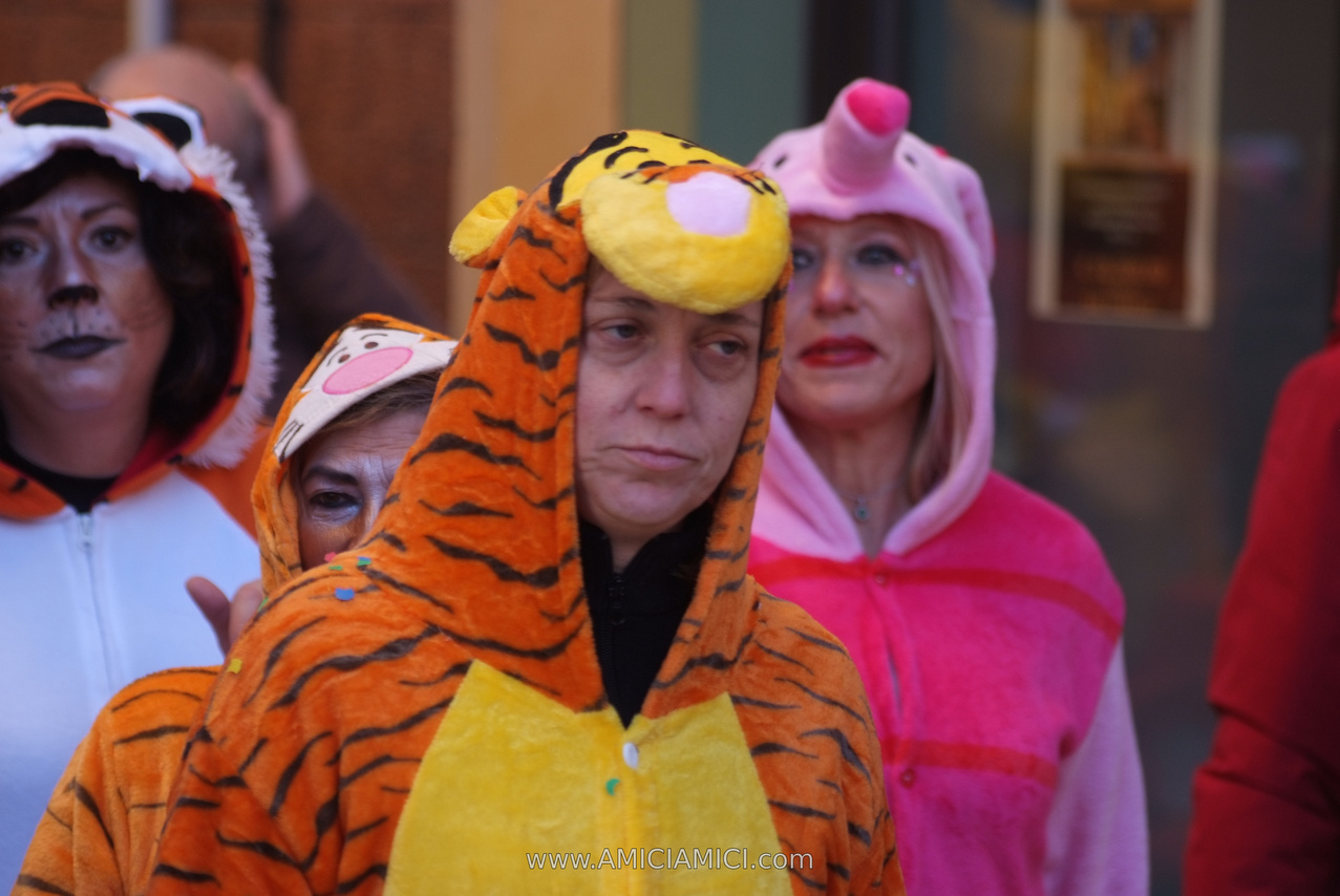 Foto Carnevale in piazza 2026 Carnevale_Bedonia_2026_662