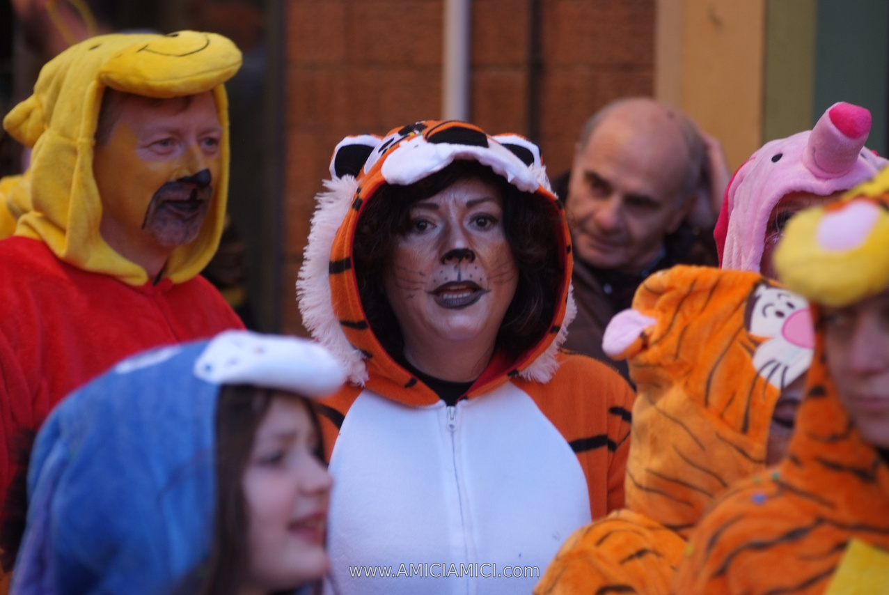 Foto Carnevale in piazza 2026 Carnevale_Bedonia_2026_663