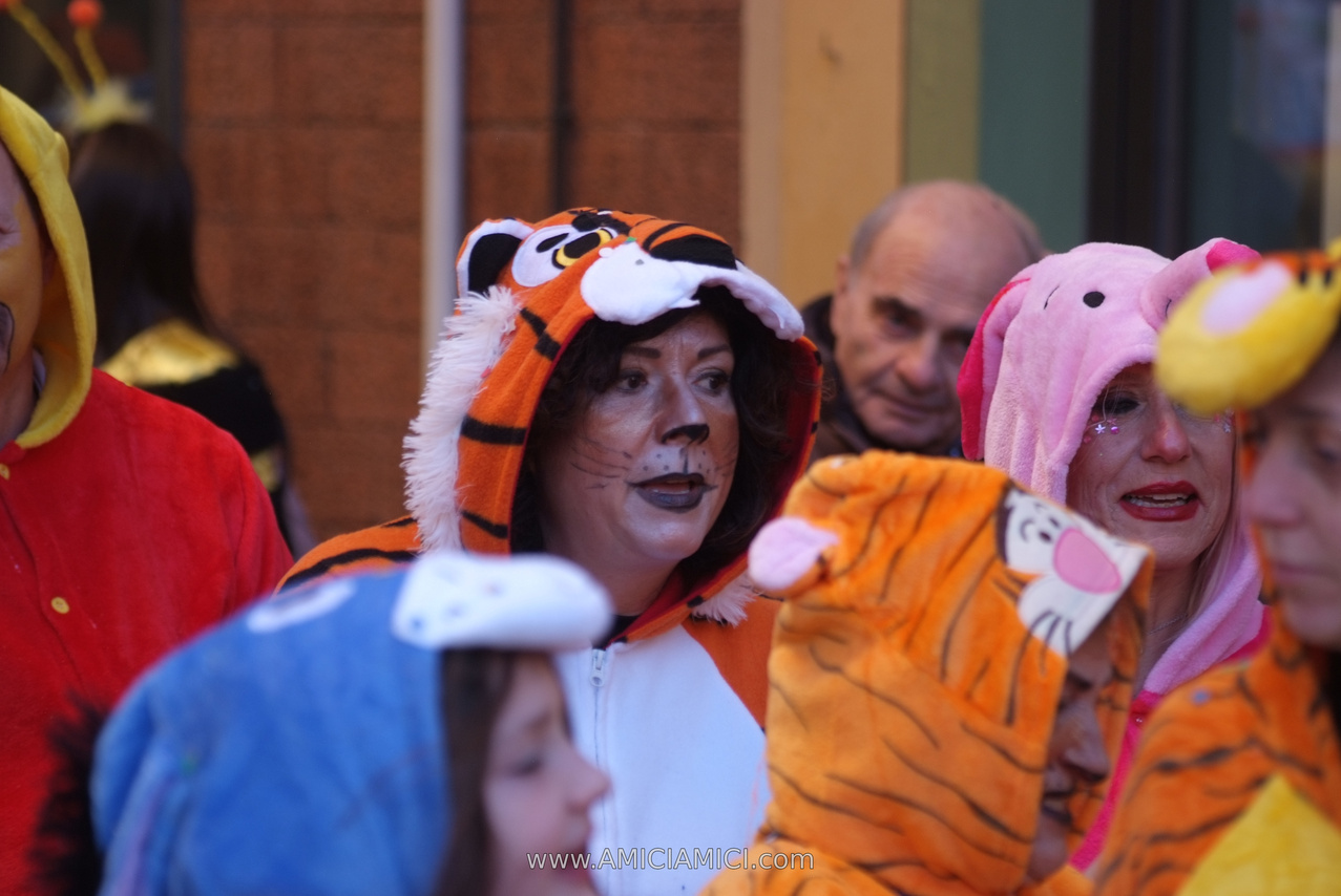 Foto Carnevale in piazza 2026 Carnevale_Bedonia_2026_664