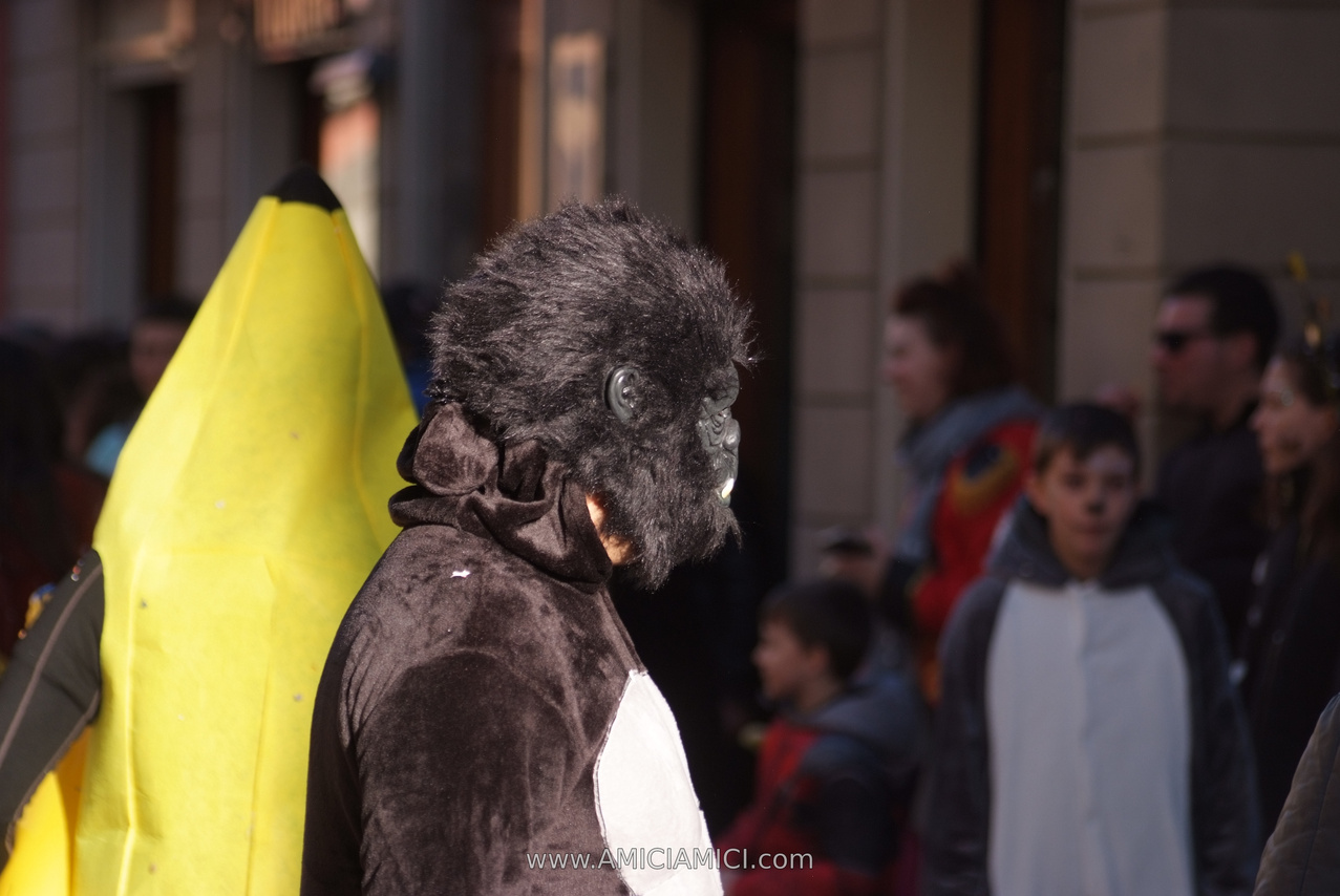 Foto Carnevale in piazza 2026 Carnevale_Bedonia_2026_878