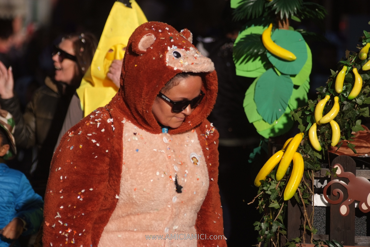 Foto Carnevale in piazza 2026 Carnevale_Bedonia_2026_883