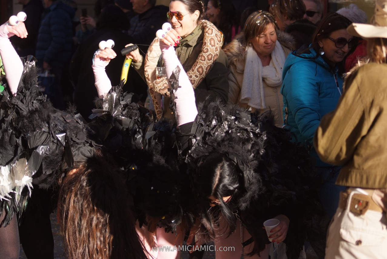 Foto Carnevale in piazza 2026 Carnevale_Bedonia_2026_902