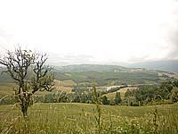 Foto Compiano - Strela Strela_070