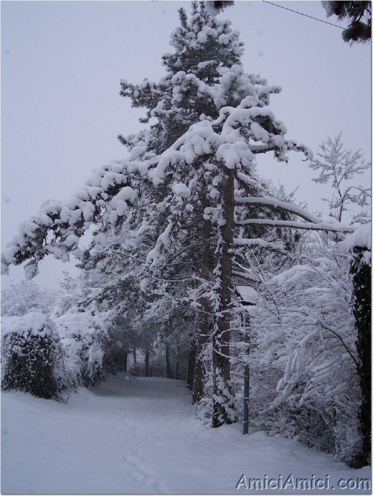 Compiano sotto la neve 2005 07 418 KB