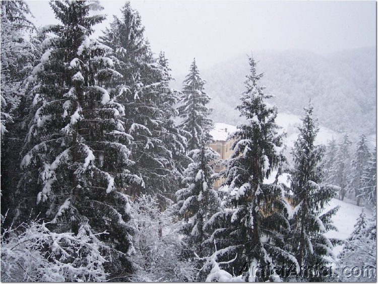 Compiano sotto la neve 2005 21 311 KB