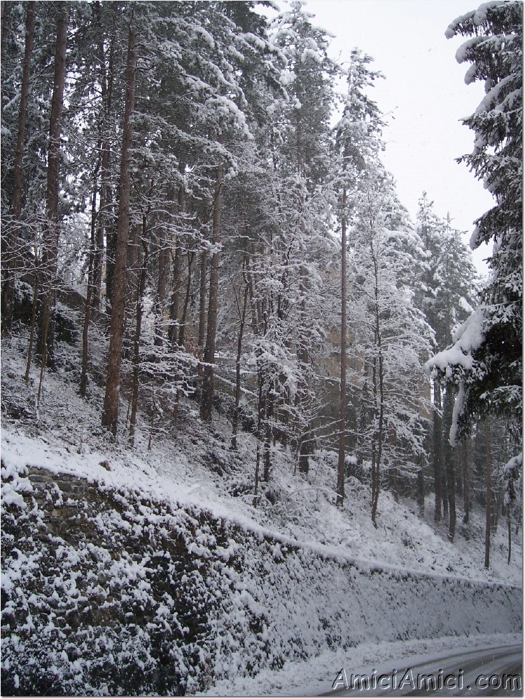 Compiano sotto la neve 2005 22 626 KB