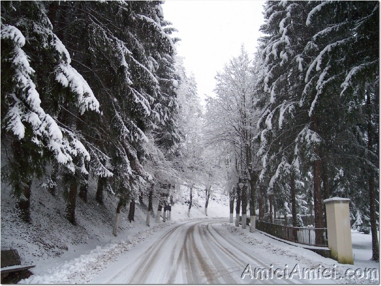 Compiano sotto la neve 2005 25 313 KB