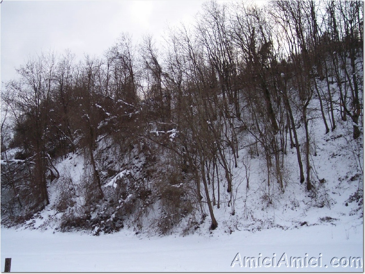 Compiano sotto la neve 34 293 KB