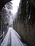 Foto Compiano 2004 Compiano sotto la neve 2005 16