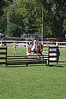 Foto Equitazione 2008 - Borgotaro Equitazione_001