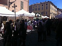 Foto Festa dei Fiori 2013 - Parma/ Parma_Fiori_2013_004