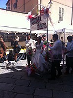 Foto Festa dei Fiori 2013 - Parma/ Parma_Fiori_2013_007