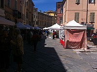Foto Festa dei Fiori 2013 - Parma/ Parma_Fiori_2013_009