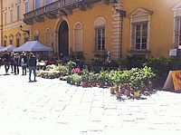 Foto Festa dei Fiori 2013 - Parma/ Parma_Fiori_2013_018