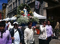 Foto Festa dei Fiori 2013 - Parma/ Parma_Fiori_2013_020