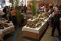 Foto Fiera del Fungo di Borgotaro 2009/ Porcino_IGP_2009_085