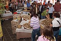 Foto Fiera del Fungo di Borgotaro 2009/ Porcino_IGP_2009_090