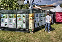 Foto Fiera di San Terenziano 2013/ San_Terenziano_2013_006