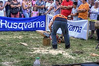 Foto Fiera di San Terenziano 2013/ San_Terenziano_2013_079