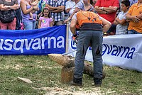 Foto Fiera di San Terenziano 2013/ San_Terenziano_2013_080