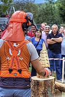 Foto Fiera di San Terenziano 2013/ San_Terenziano_2013_095