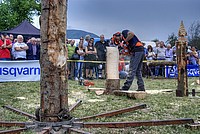 Foto Fiera di San Terenziano 2013/ San_Terenziano_2013_103