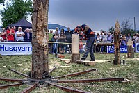 Foto Fiera di San Terenziano 2013/ San_Terenziano_2013_104