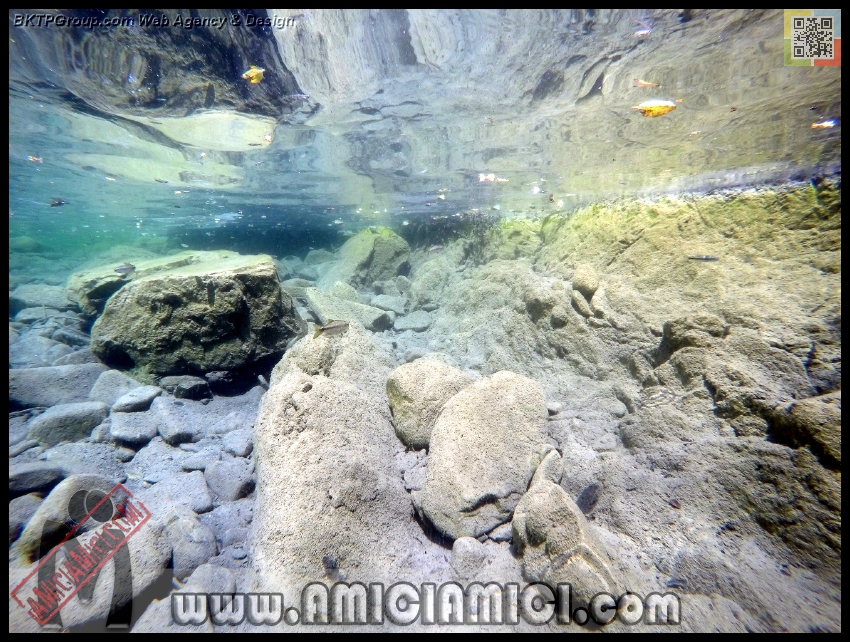 Fiume_Taro_003 - Fiume Taro 2015 - 584 KB
