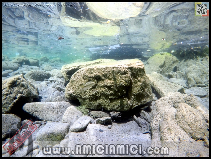 Fiume_Taro_004 - Fiume Taro 2015 - 559 KB