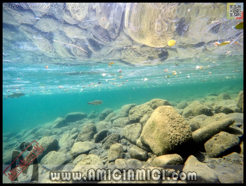 Fiume_Taro_005 - Fiume Taro 2015 - 530 KB