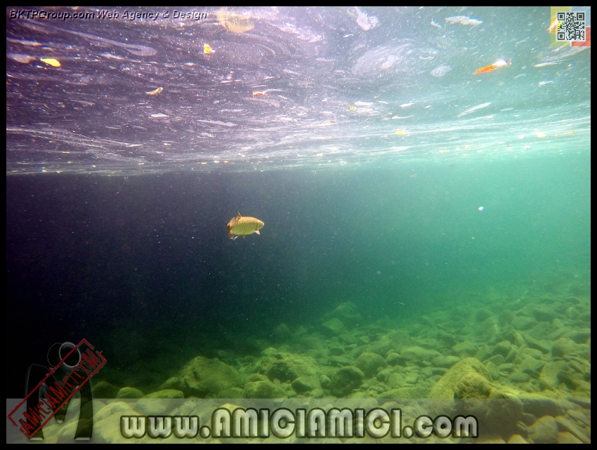 Fiume_Taro_006 - Fiume Taro 2015 - 442 KB