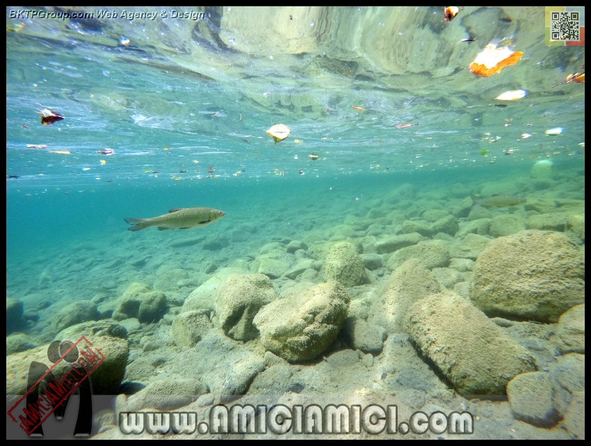 Fiume_Taro_007 - Fiume Taro 2015 - 506 KB