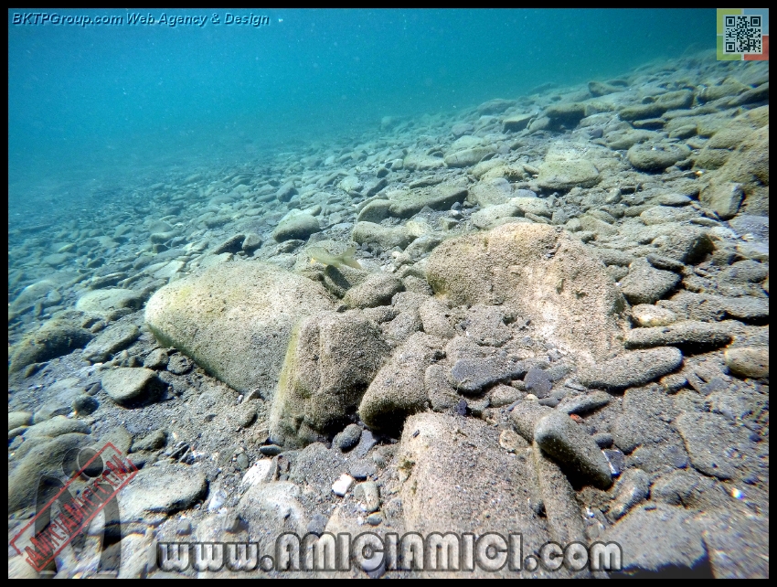 Fiume_Taro_008 - Fiume Taro 2015 - 606 KB