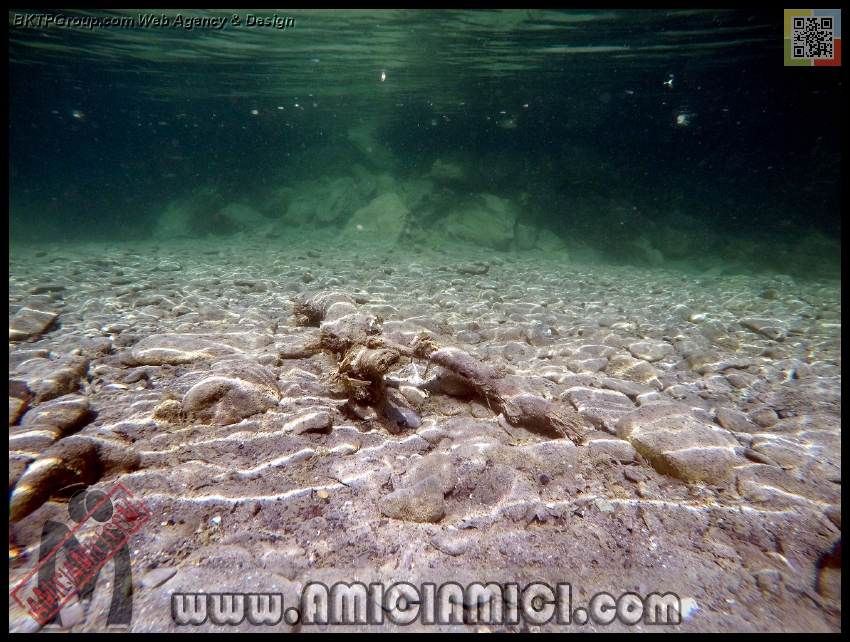 Fiume_Taro_009 - Fiume Taro 2015 - 540 KB