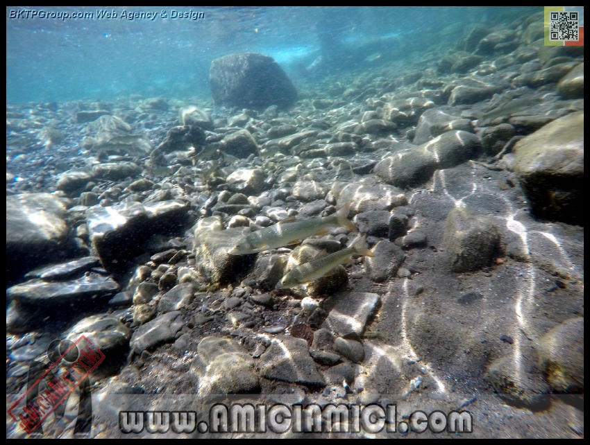 Fiume_Taro_010 - Fiume Taro 2015 - 526 KB