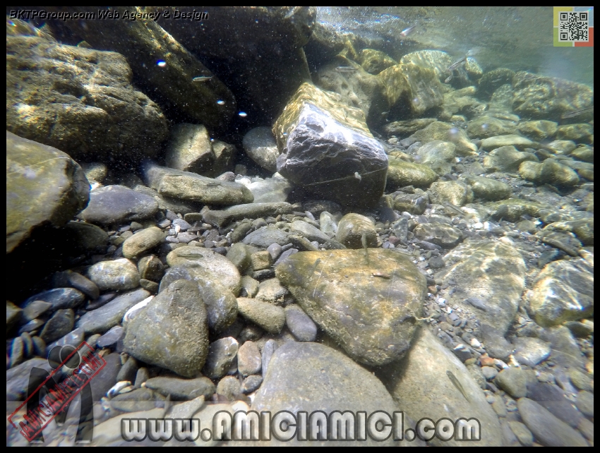 Fiume_Taro_012 - Fiume Taro 2015 - 524 KB