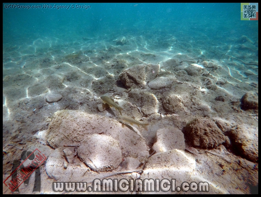 Fiume_Taro_020 - Fiume Taro 2015 - 544 KB