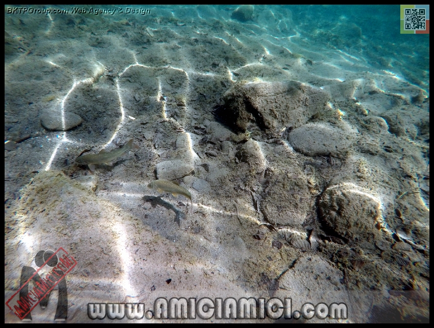 Fiume_Taro_021 - Fiume Taro 2015 - 593 KB