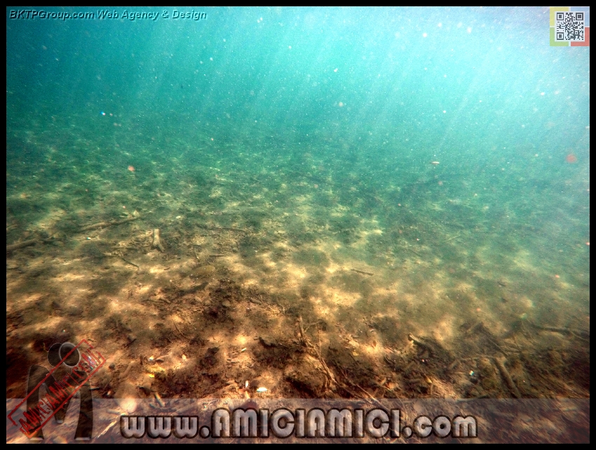 Fiume_Taro_022 - Fiume Taro 2015 - 516 KB