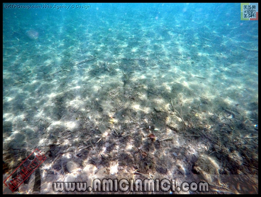 Fiume_Taro_023 - Fiume Taro 2015 - 557 KB