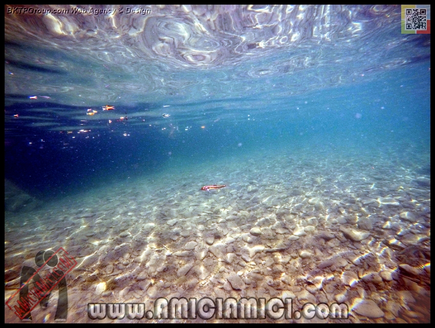 Fiume_Taro_024 - Fiume Taro 2015 - 542 KB