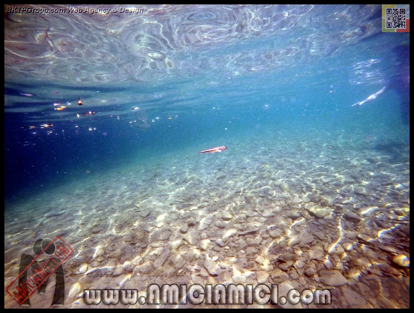 Fiume_Taro_025 - Fiume Taro 2015 - 535 KB