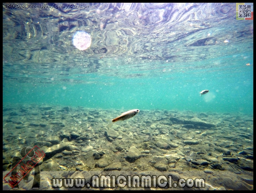 Fiume_Taro_036 - Fiume Taro 2015 - 549 KB