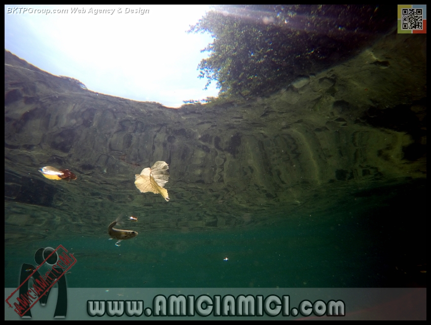 Fiume_Taro_037 - Fiume Taro 2015 - 341 KB