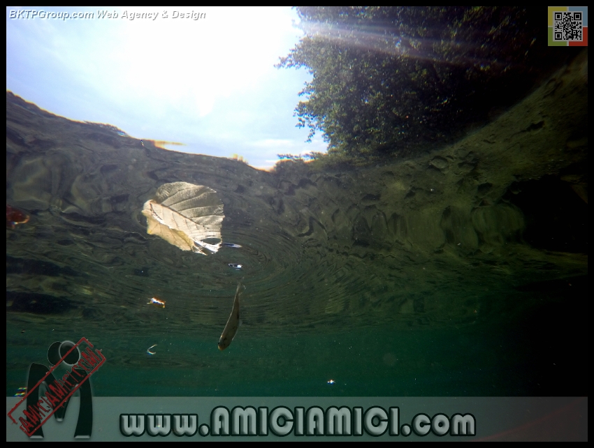 Fiume_Taro_038 - Fiume Taro 2015 - 342 KB
