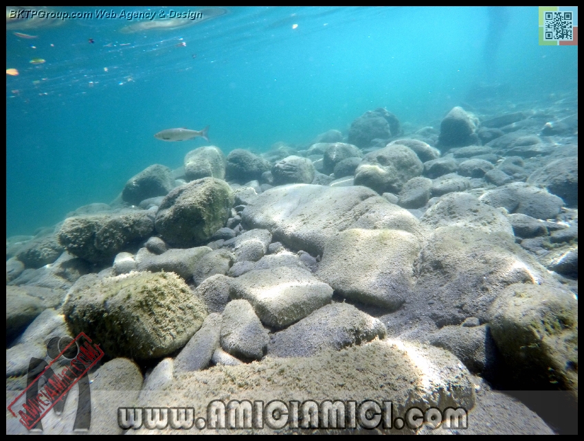 Fiume_Taro_039 - Fiume Taro 2015 - 488 KB