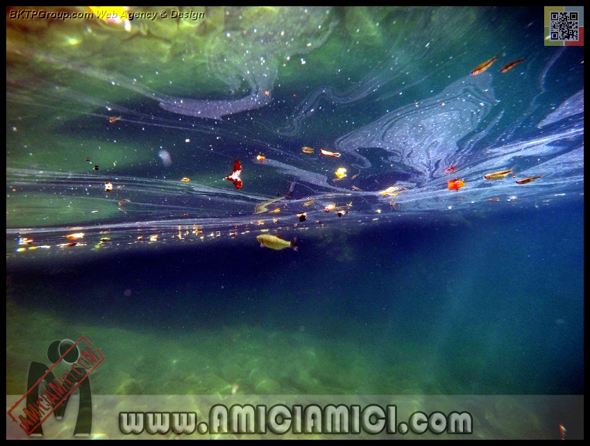 Fiume_Taro_042 - Fiume Taro 2015 - 488 KB