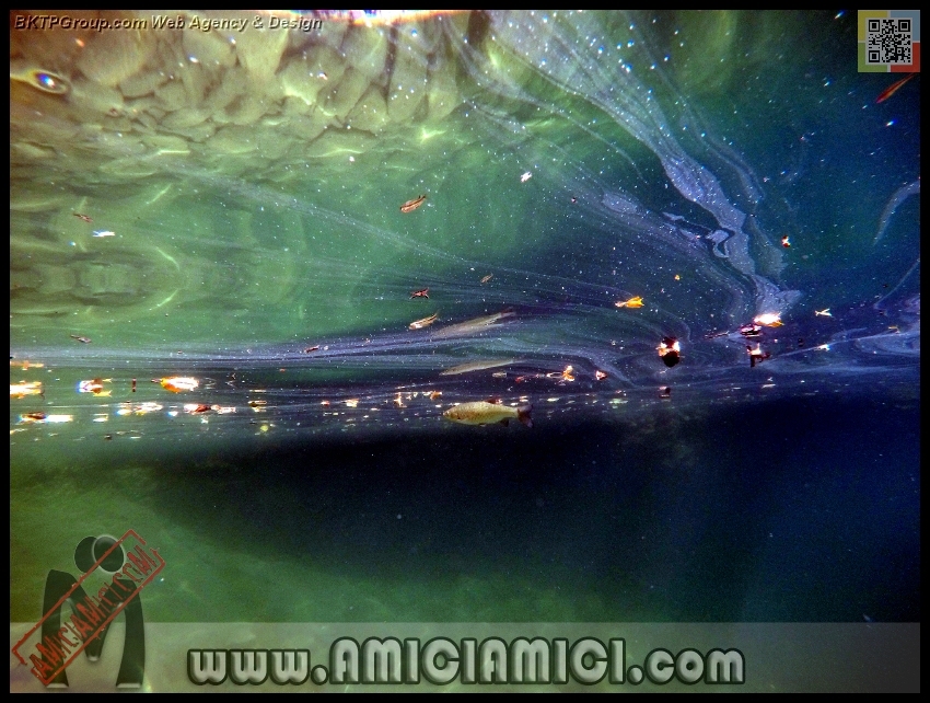 Fiume_Taro_043 - Fiume Taro 2015 - 490 KB